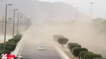 حالة الطقس في المملكة اليوم وغدا: توقعات بحرارة مرتفعة ورياح قوية فوق المعدل